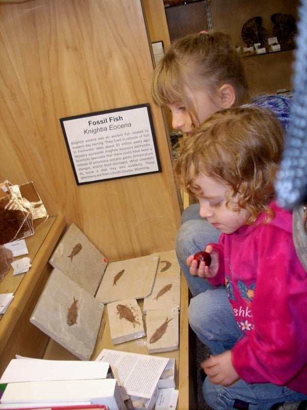 Who says geology is boring for kids?