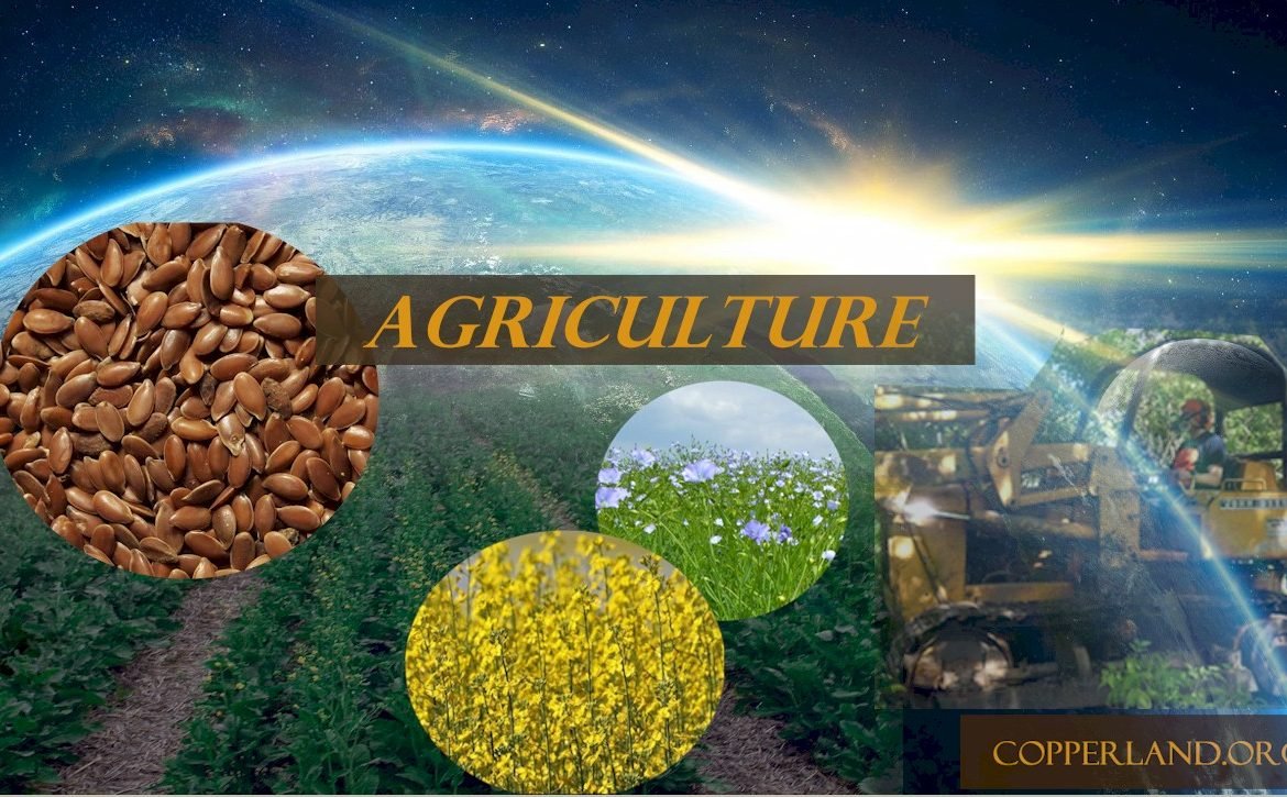 Fuel crops, oil crops, Copperland agriculture