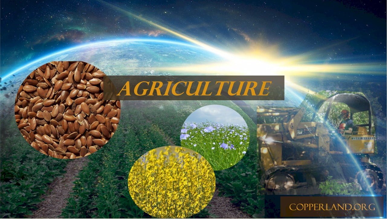 Fuel crops, oil crops, Copperland agriculture