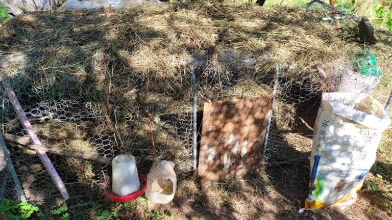 How to gather a winter supply of hay with simple tools